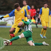 Hostouň B - Rakovník B