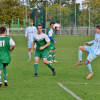 hostouň - t. rakovník (33).jpg