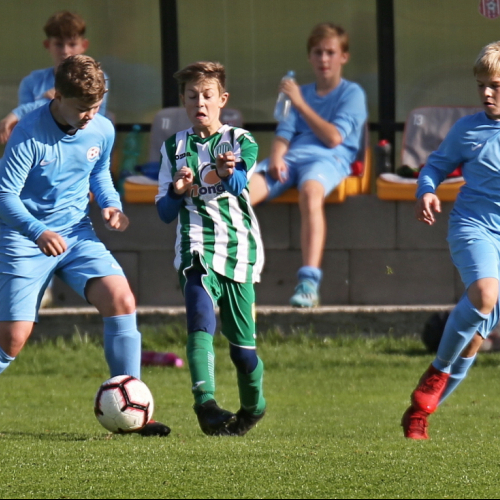 PFA - Hostouň