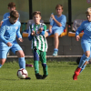 PFA - Hostouň
