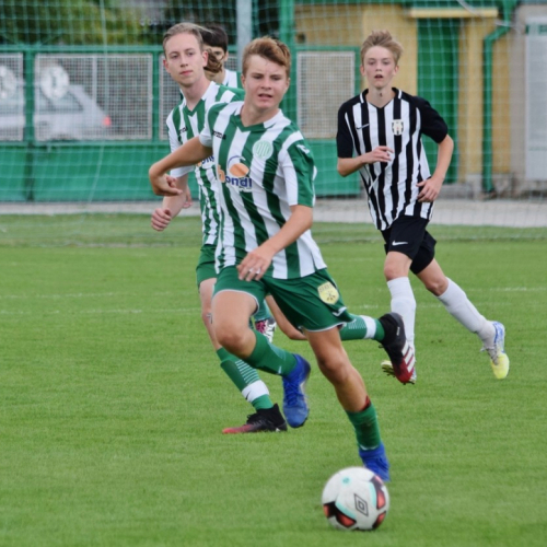 hostoun - mnich.hradiste (12).jpg