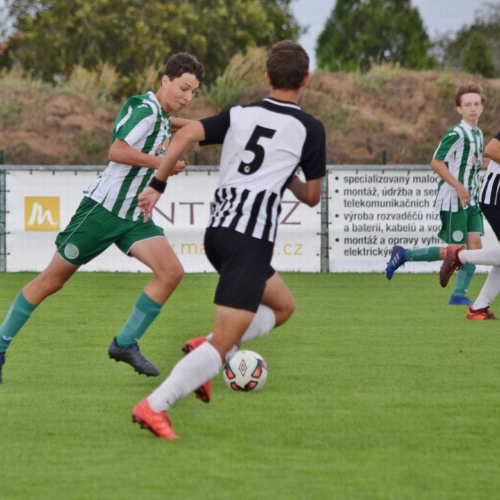 hostoun - mnich.hradiste (13).jpg