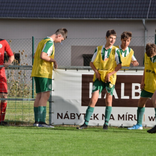 hostoun - mnich.hradiste (17).jpg