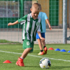 u7 - trenink (15).jpg