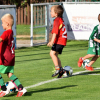u7 - trenink (42).jpg