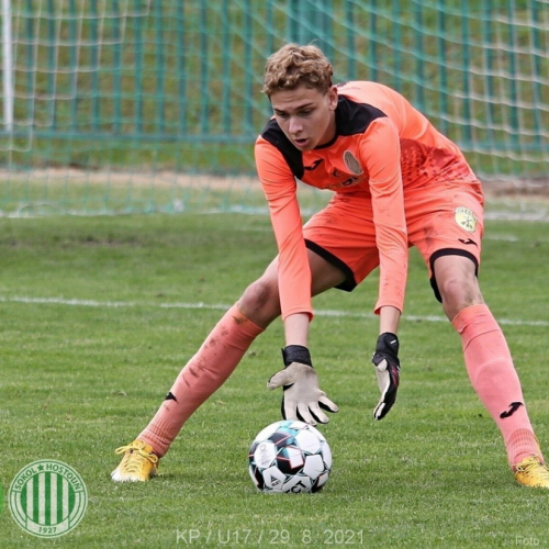 kročehlavy-sh (4).jpg