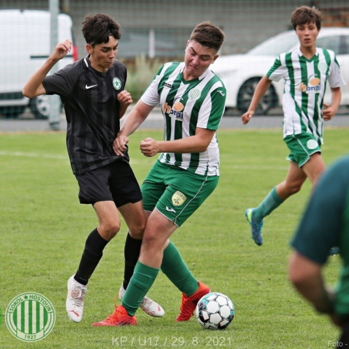 kročehlavy-sh (6).jpg