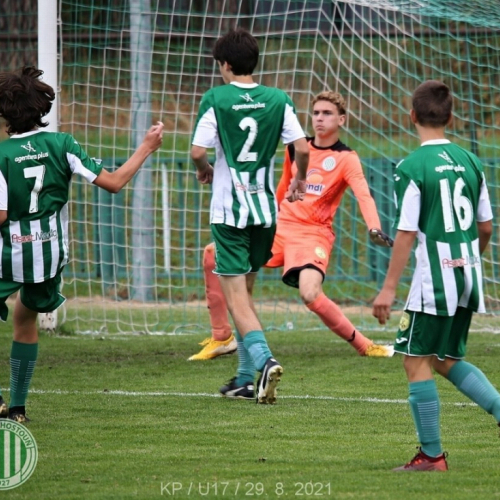 kročehlavy-sh (2).jpg