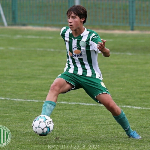 kročehlavy-sh (3).jpg