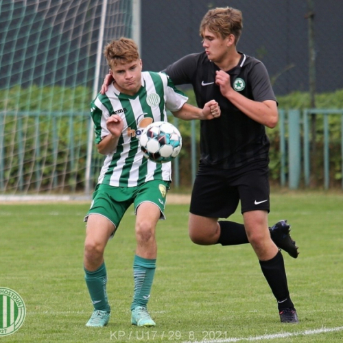 kročehlavy-sh (1).jpg