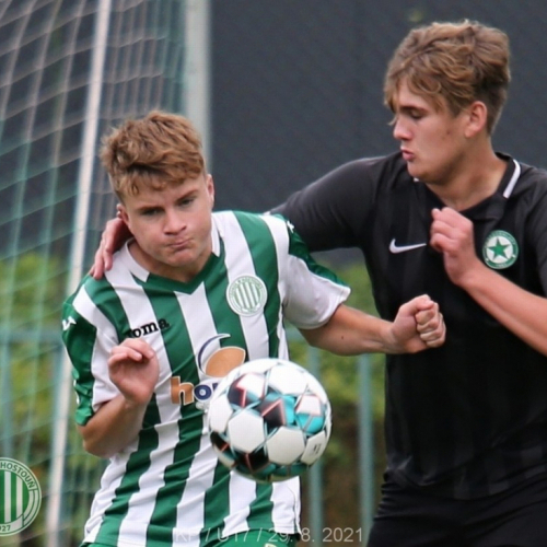 kročehlavy-sh (5).jpg