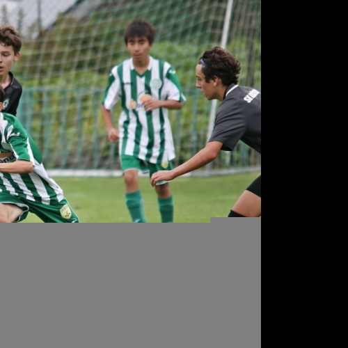 kročehlavy-sh (9).jpg