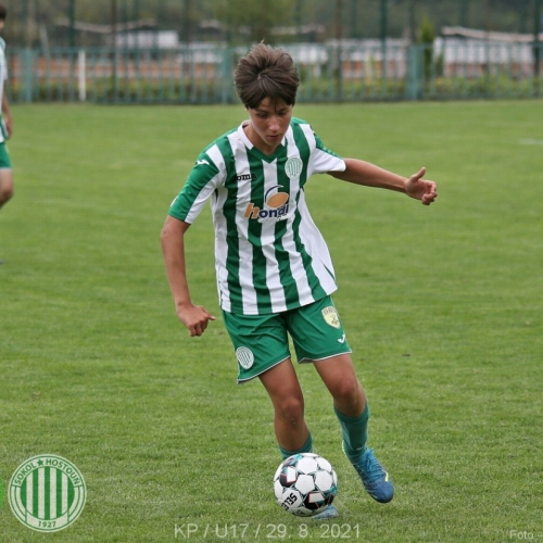 kročehlavy-sh (10).jpg