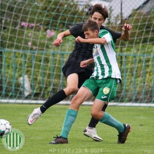 kročehlavy-sh (8).jpg