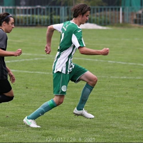 kročehlavy-sh (16).jpg