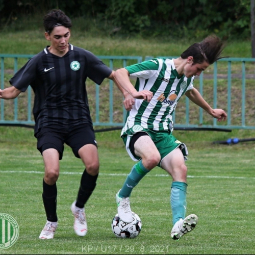 kročehlavy-sh (14).jpg