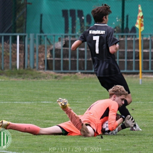 kročehlavy-sh (17).jpg