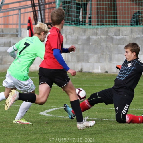 pribram-sh (9).jpg