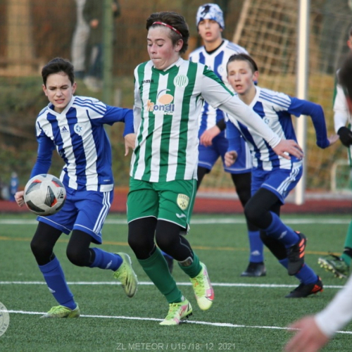 dablice-sh (147).jpg