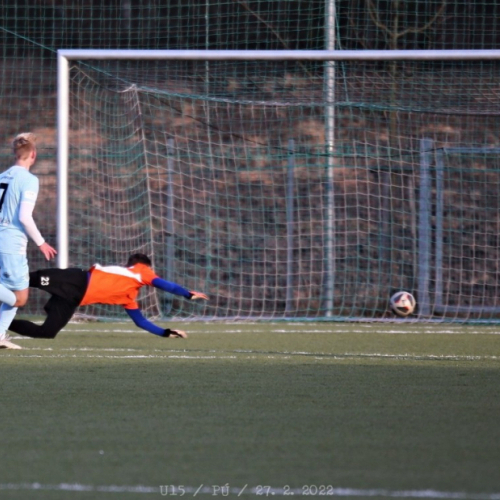 sh-motorlet (77).jpg