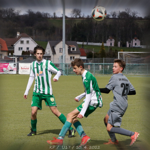 sh-krocehlavy (0).jpeg