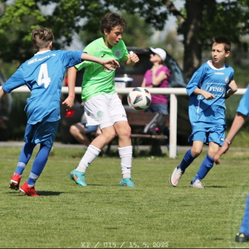 sh-velvary_bk (11).jpg