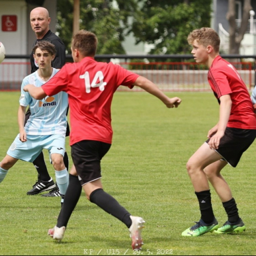 sh-s.pribram (68).jpg