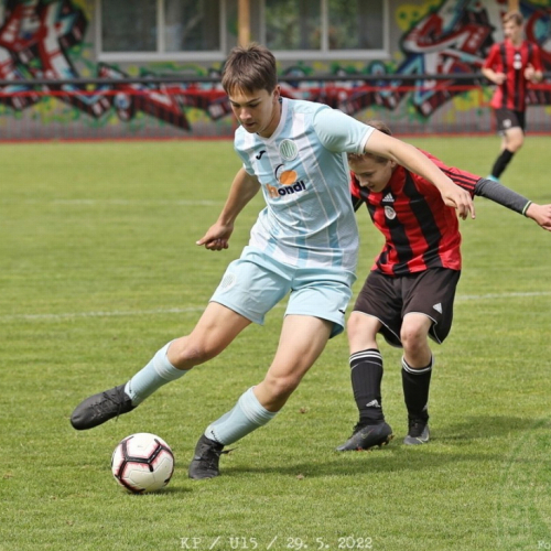 sh-s.pribram (36).jpg