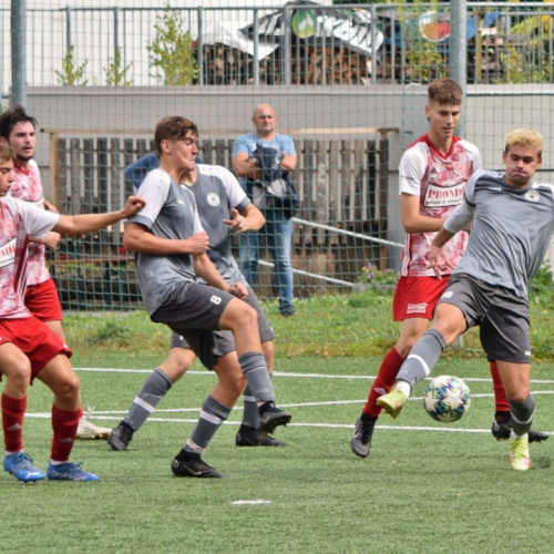 shbs-kosmonosy (28).jpg