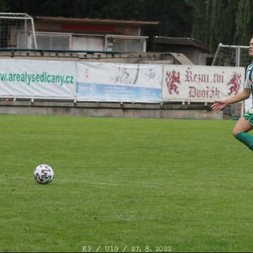 sedlcany-sh_bk (44).jpg