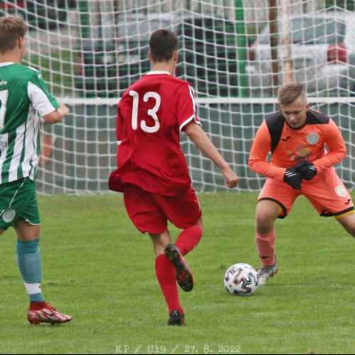 sedlcany-sh_bk (4).jpg