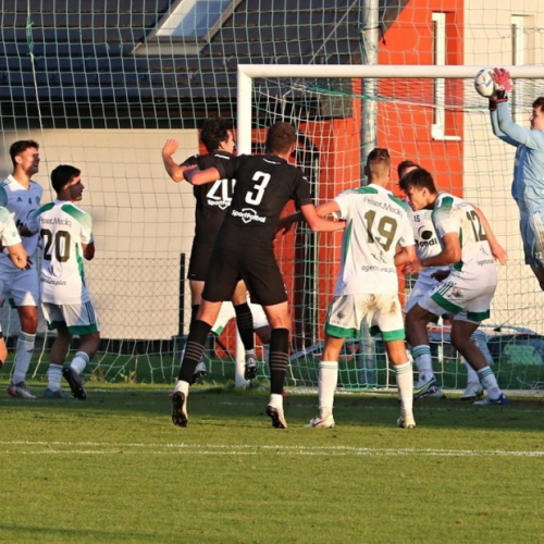 sh-bohemians_bk (35).jpg