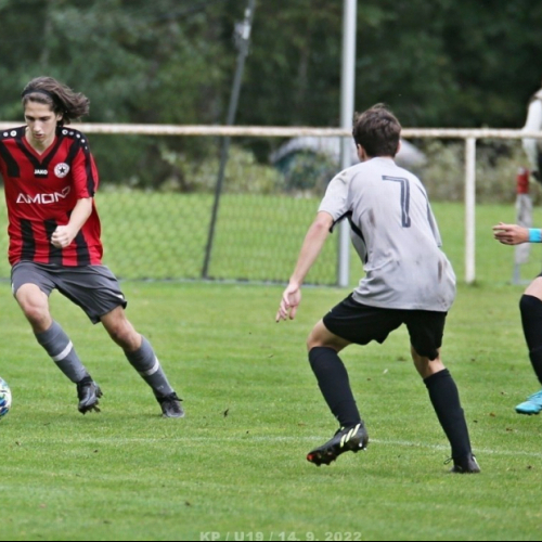 shbs-sk_bh (4).jpg