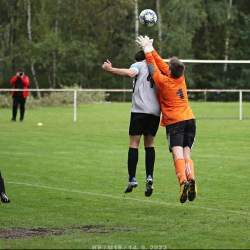 shbs-sk_bh (7).jpg