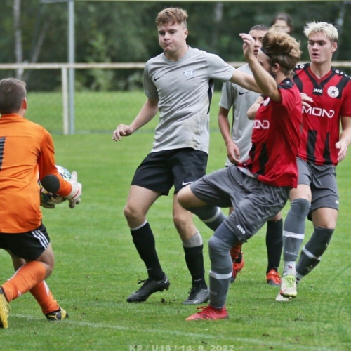 shbs-sk_bh (28).jpg
