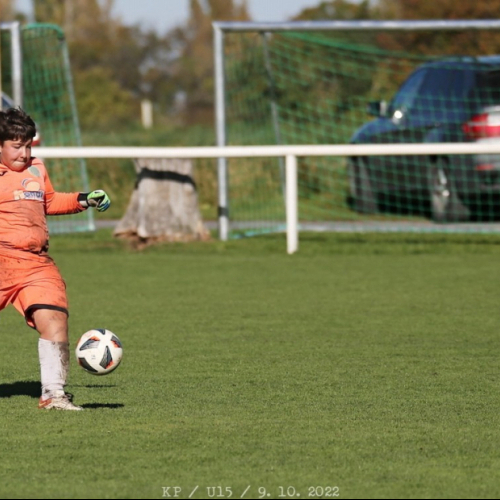 sh-sp.pribram_bk (31).jpg