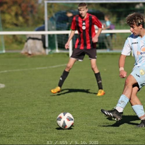 sh-sp.pribram_bk (35).jpg