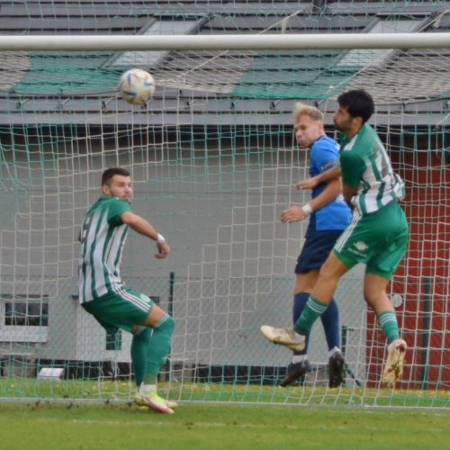 sh-domazlice (39).jpg