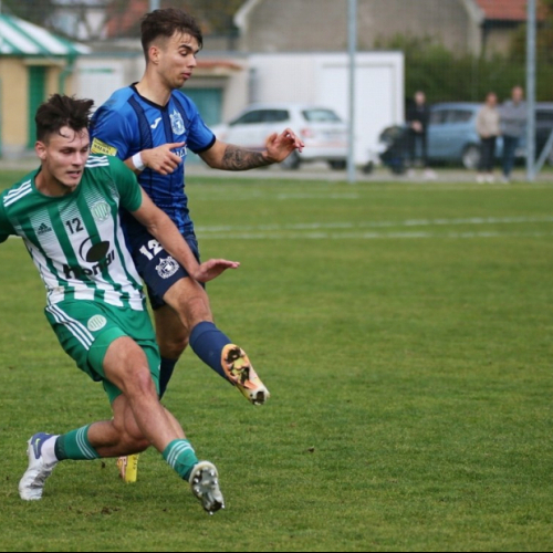 sh-domazlice_bk (47).jpg