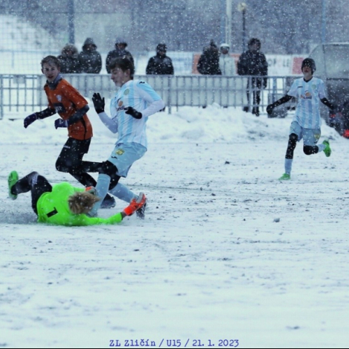 sh-zlicin_bk (36).jpg