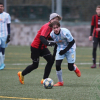 sp.pribram-sh_bk (14).jpg
