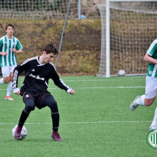 sks1911-shbs (18).jpg