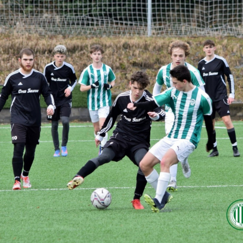 sks1911-shbs (3).jpg