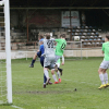 shbs-ps.melnik_bk (15).jpg