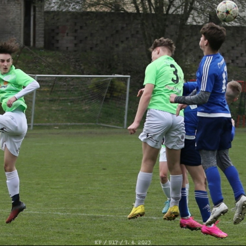 shbs-ps.melnik_bk (21).jpg