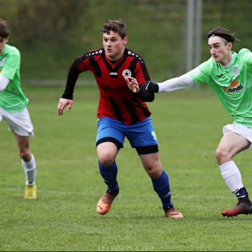 shbs-slany_bk (15).jpg