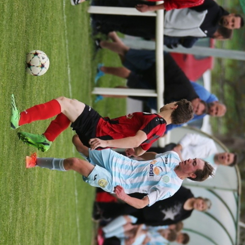 sh-svermov_bk (82).jpg