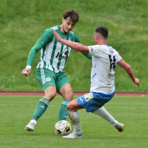 domazlice-sh (50).jpg