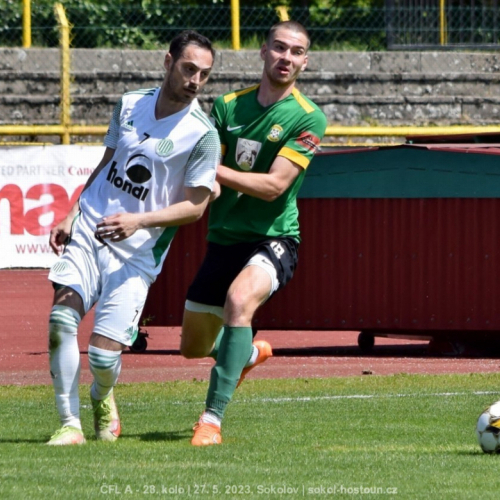 sokolov-sh (113).jpg