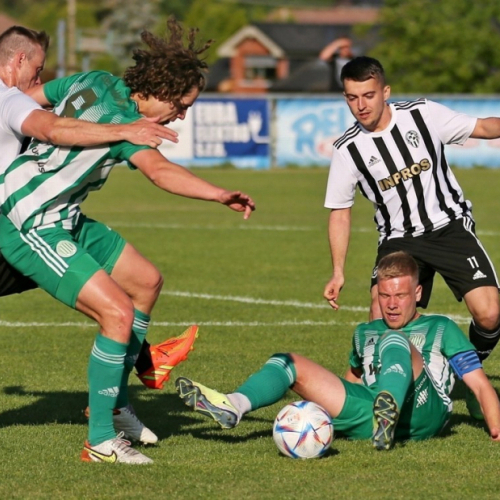 sh-admira_bk (32).jpg